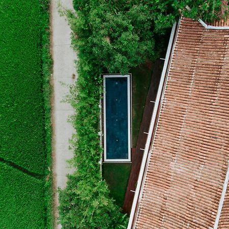 Heron House Hội An Ngoại thất bức ảnh