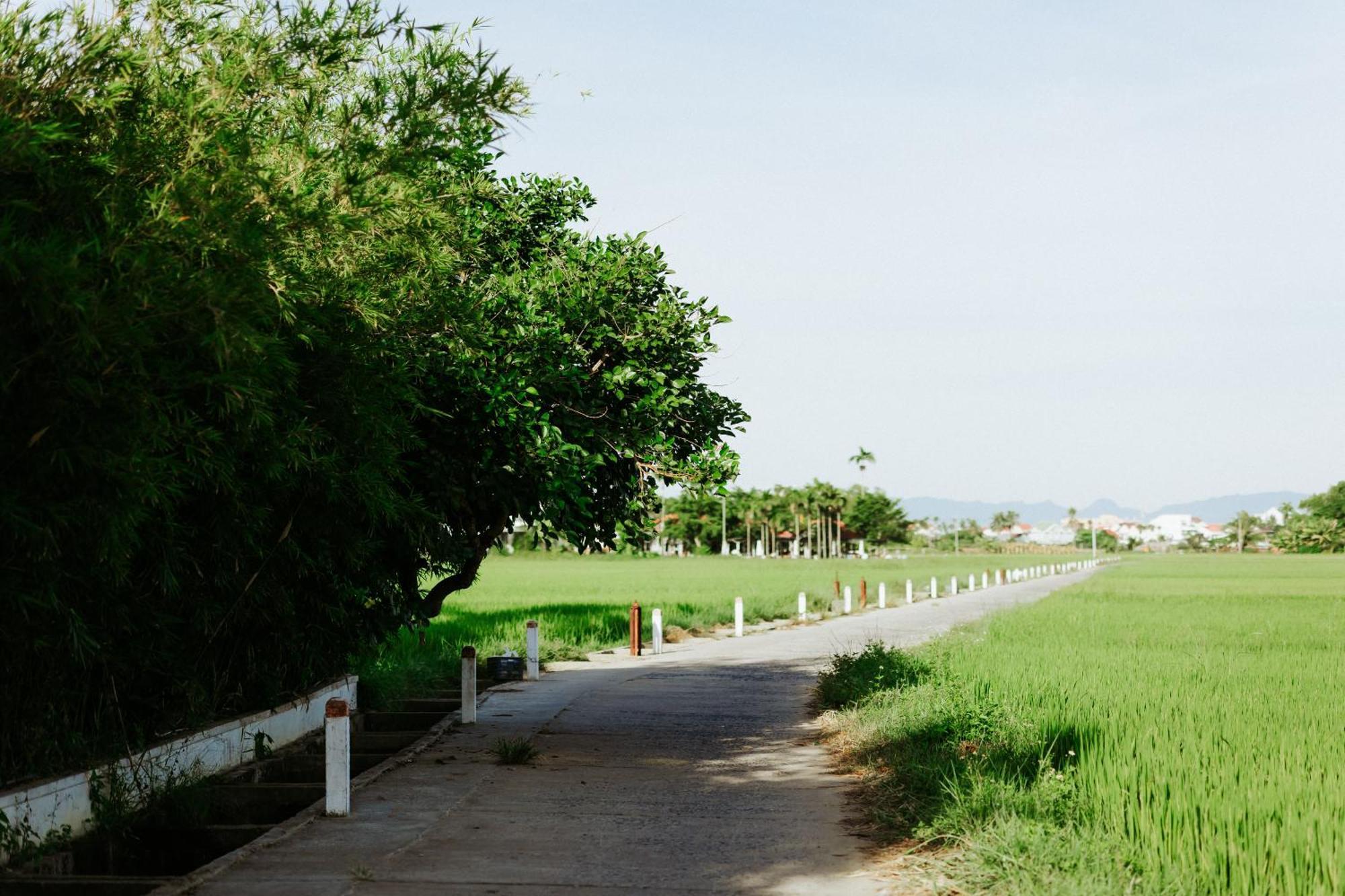 Heron House Hội An Ngoại thất bức ảnh