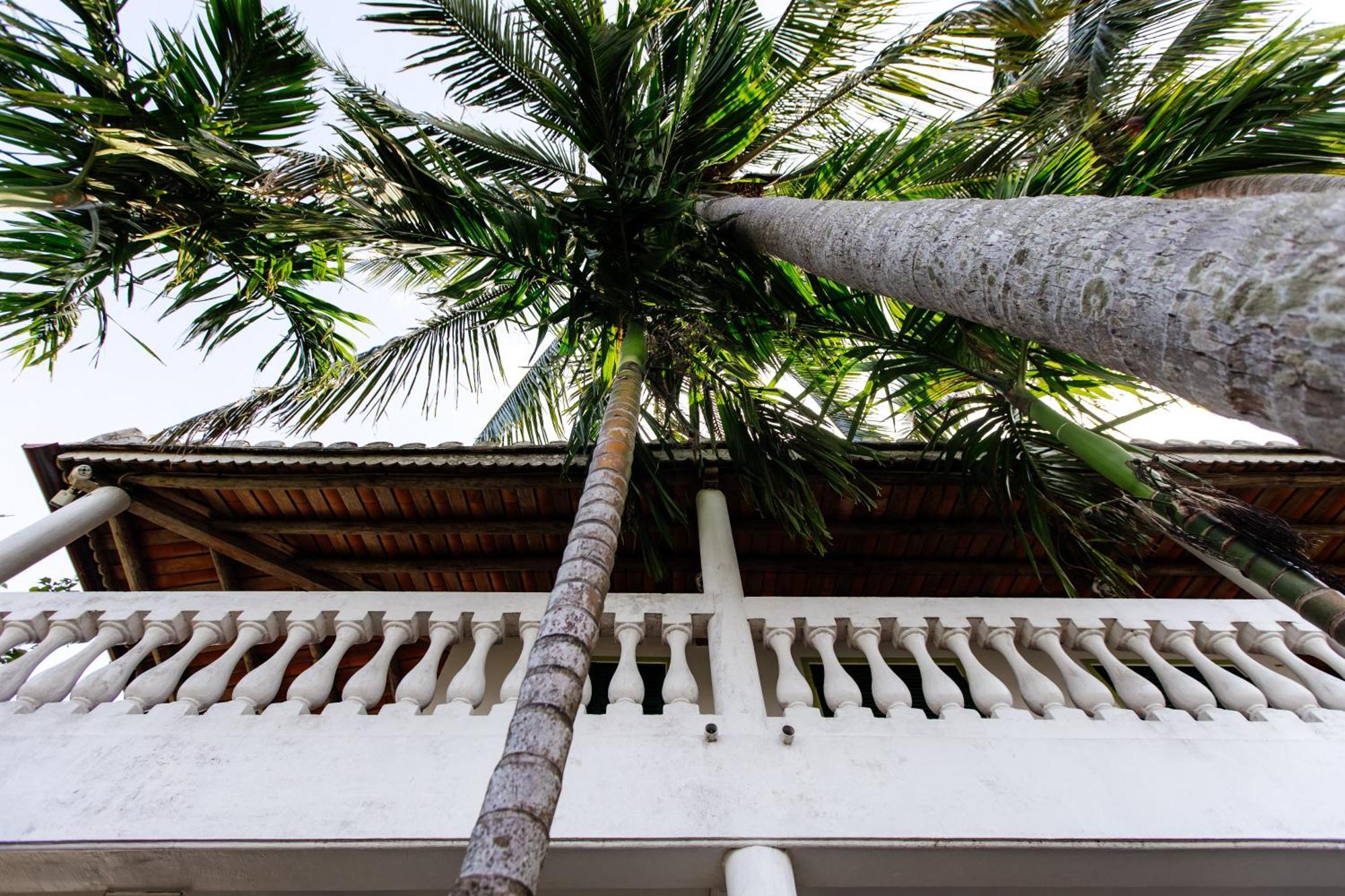 Heron House Hội An Ngoại thất bức ảnh
